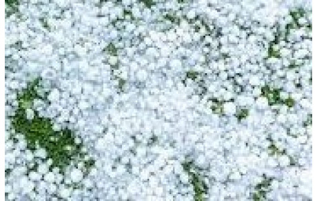 Quand la grêle s’en mêle !