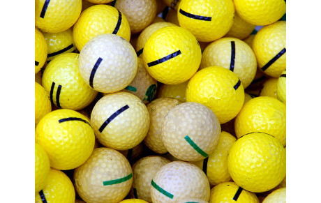 Recherche de bénévoles